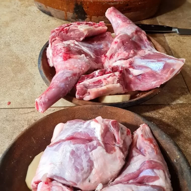 Barbacoa El cortijo de la Vega (2)