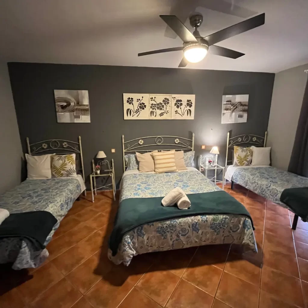 Habitaciones la Pepa (3)